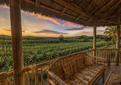 Big Farm in Quezon Province